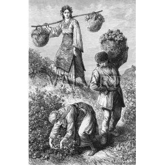 РЕПРОДУКЦИИ НА КАРТИНИ  Розобер при Казанлък (1870)